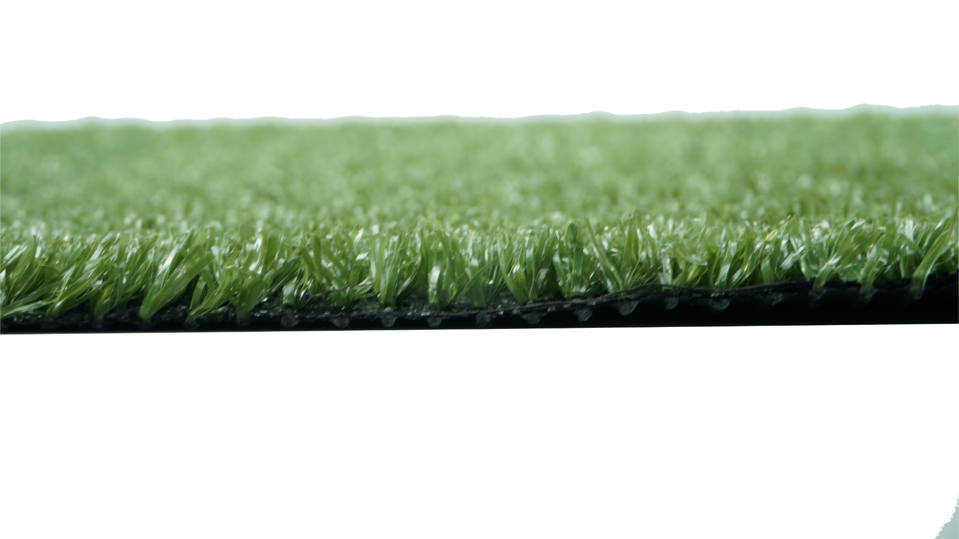 侧视263Carpet 0929