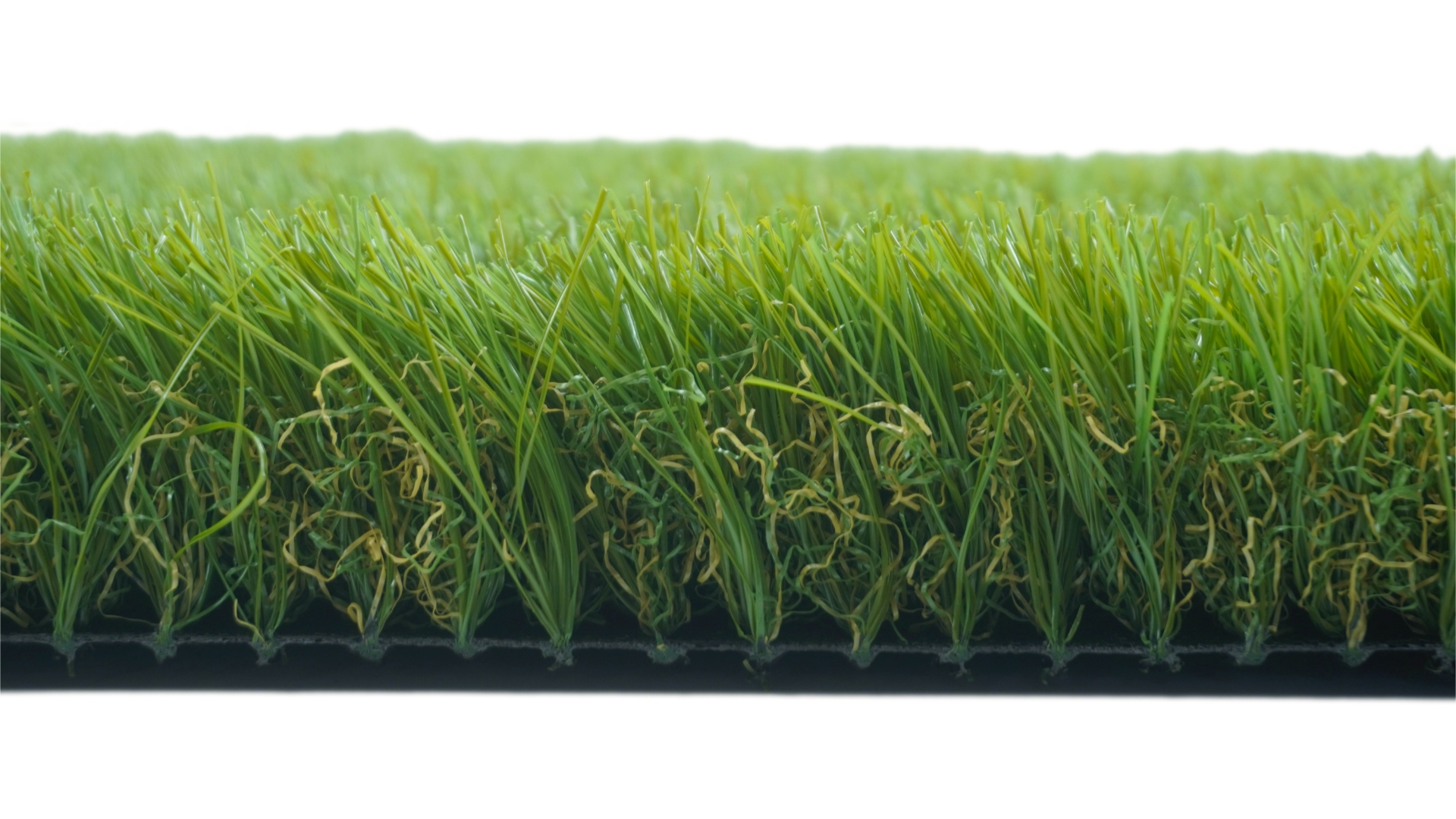 侧视_Vancouver 4517