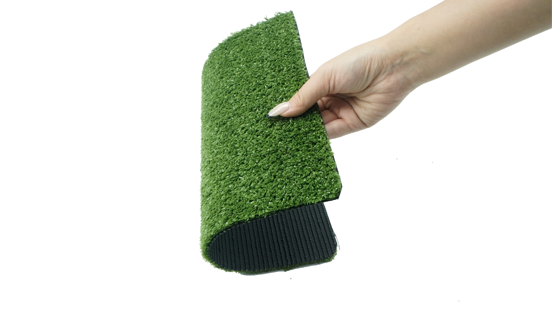 卷面263Carpet 0929