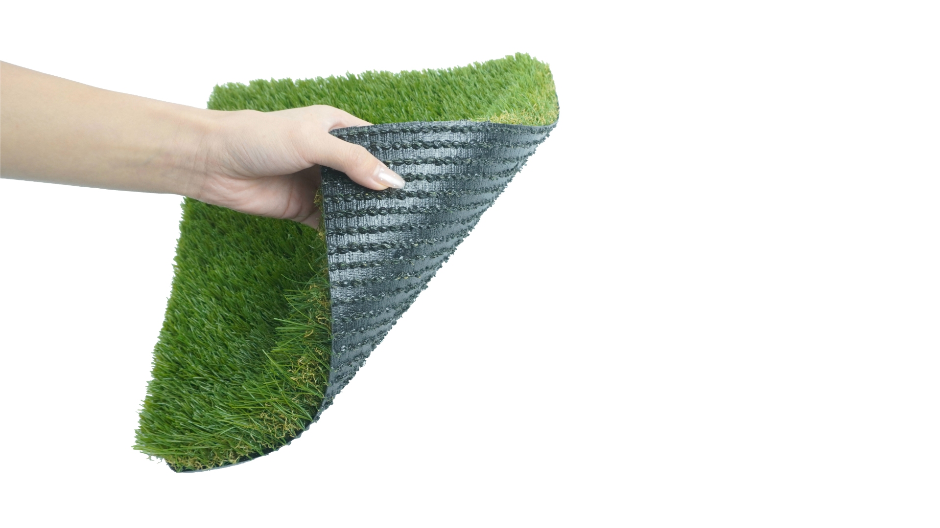 背胶_Vancouver 4517